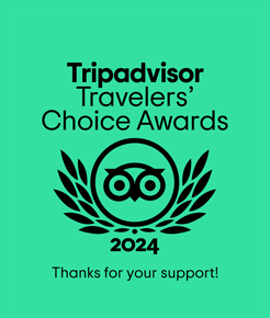 TripAdvisor - 2021 Travelers’ Choice