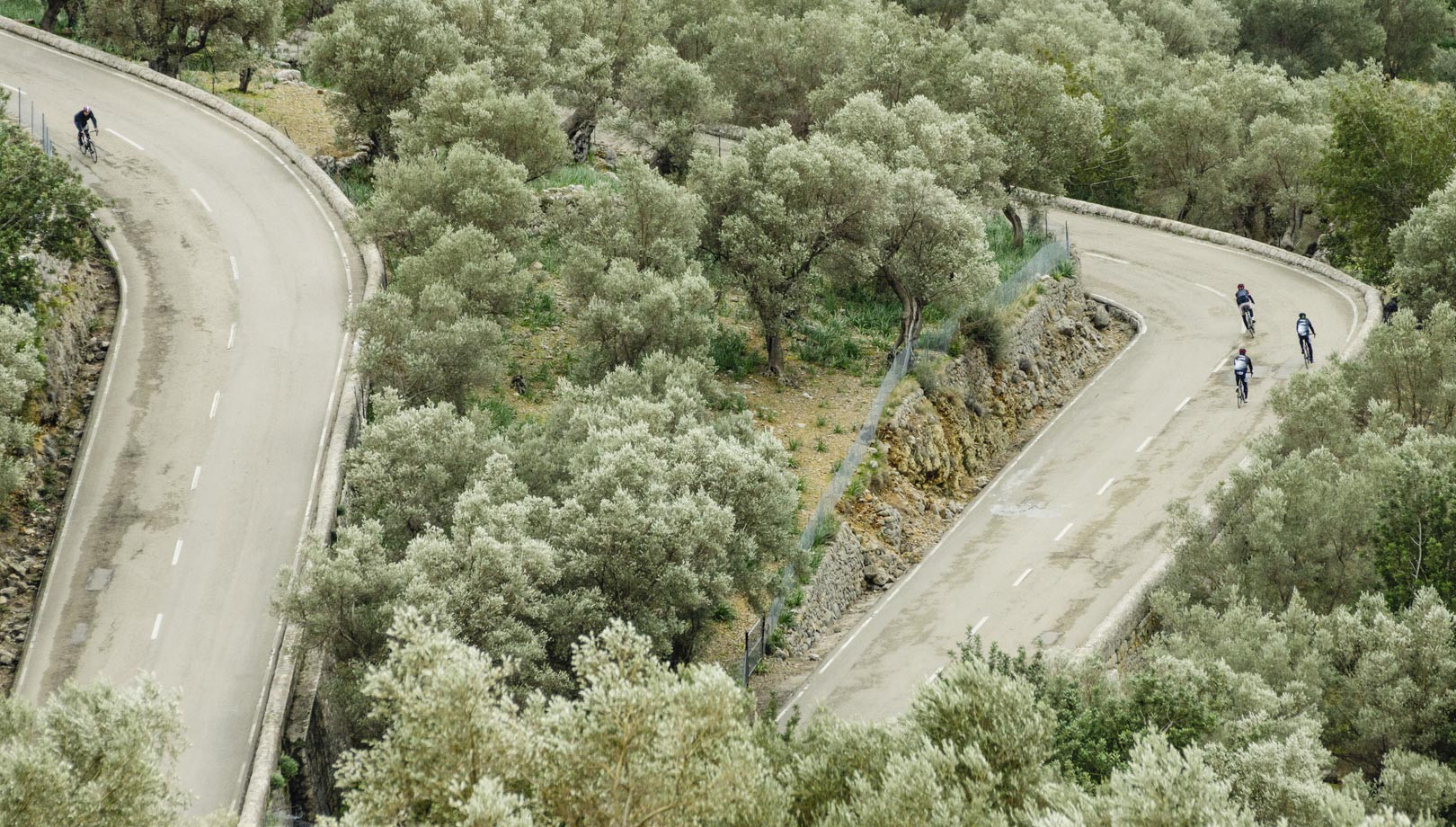 media.PercorsoGiro-dell’Olio-d’Oliva-Hotel-Life-Rimini