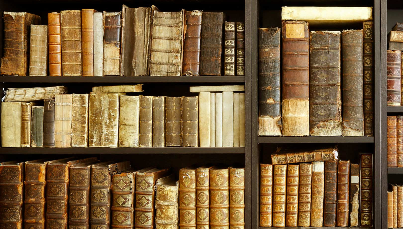 media.Biblioteca-Hotel-Life-Rimini