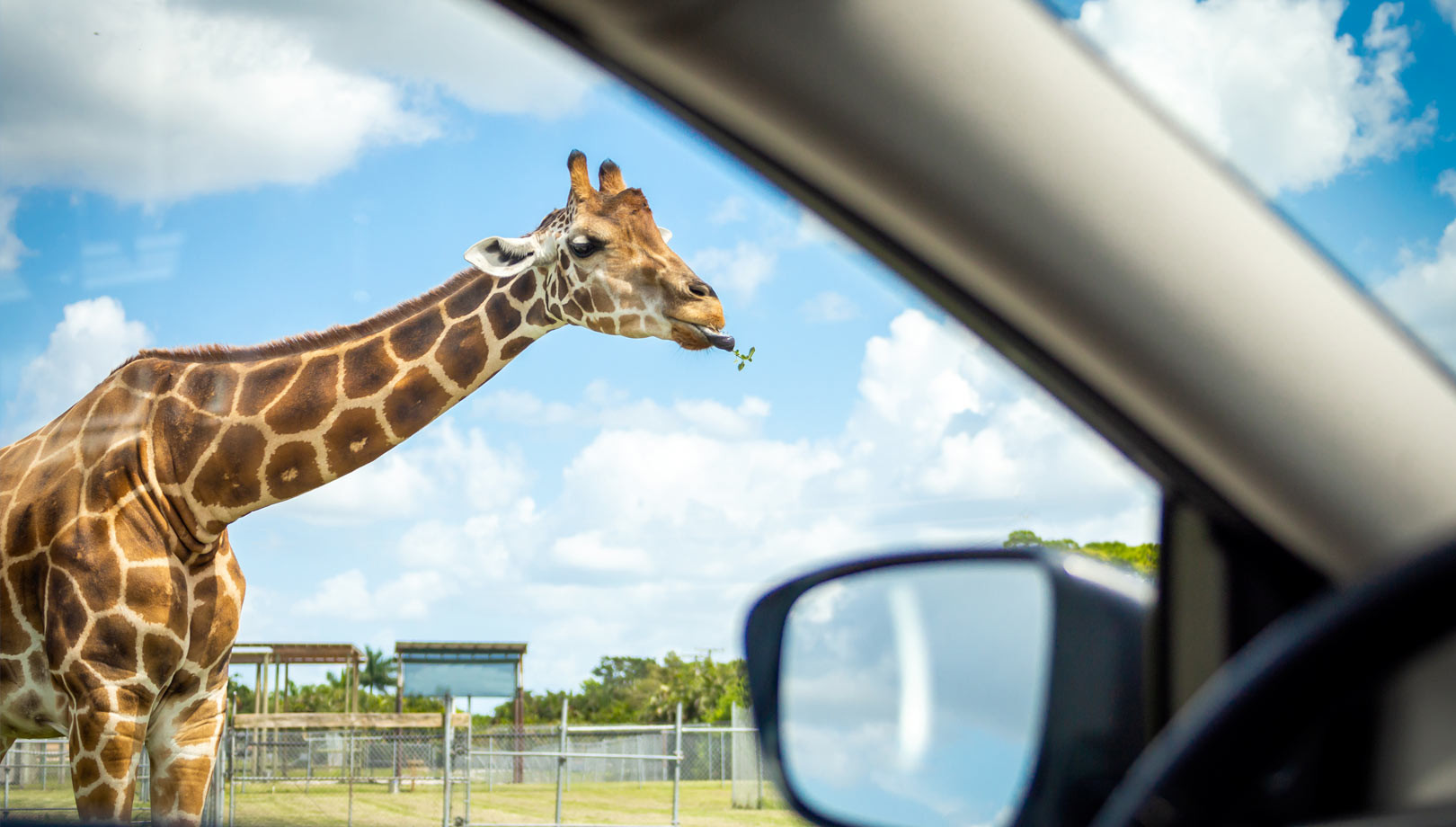 media.Zoo-Safari-Hotel-Life-Rimini