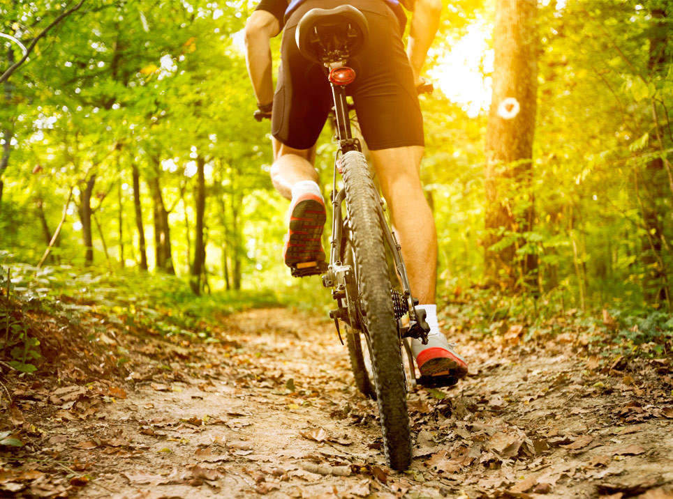 media.Highlights-Tour-Hotel-Life-Rimini