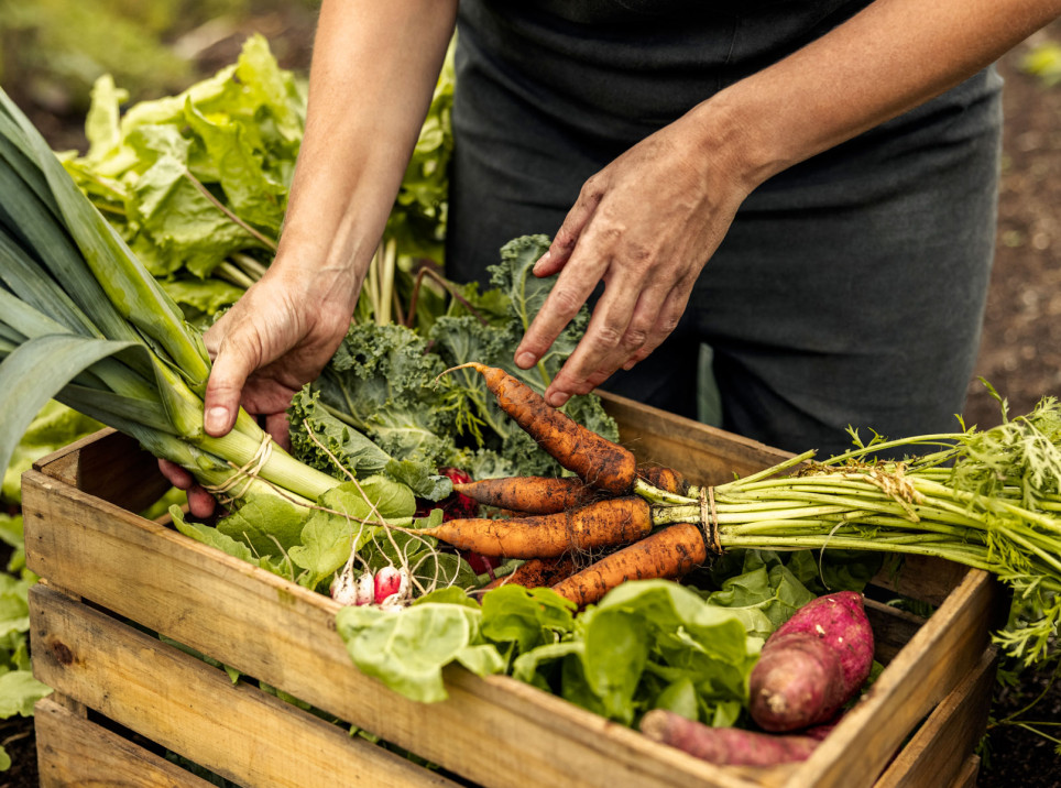 media.Slide-Green-Life-02-Hotel-Life-Rimini