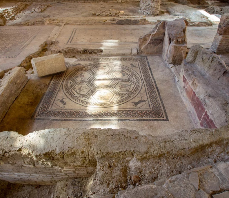 media.Domus-del-Chirurgo-Hotel-Life-Rimini