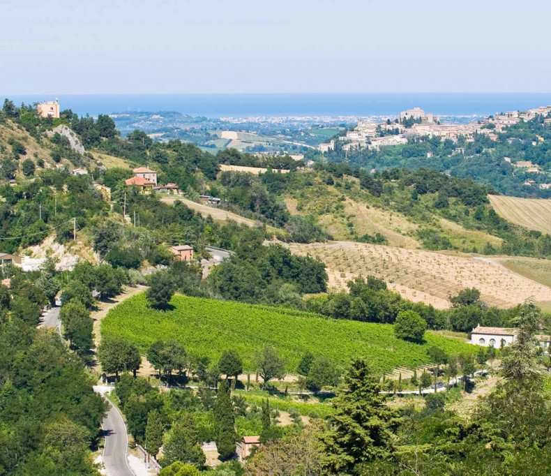 media.Percorso-collina-Romagna-Hotel-Life-Rimini