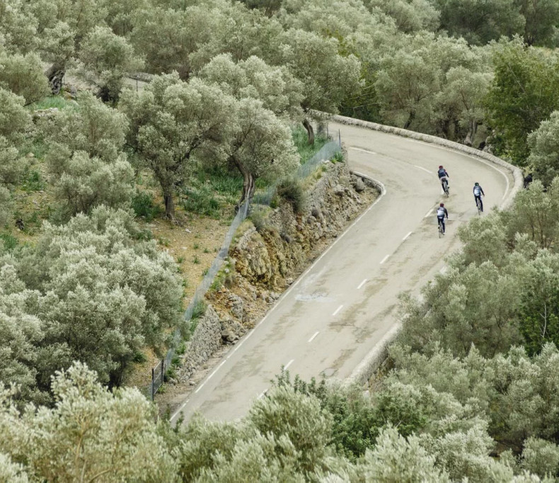 media.PercorsoGiro-dell’Olio-d’Oliva-Hotel-Life-Rimini